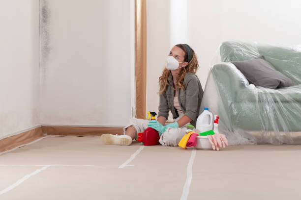 Reliable Black Mold Removal contractor in Silverdale, WA by WQB Mold Removal